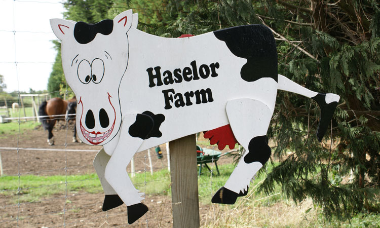 Daisy our trusty post box!